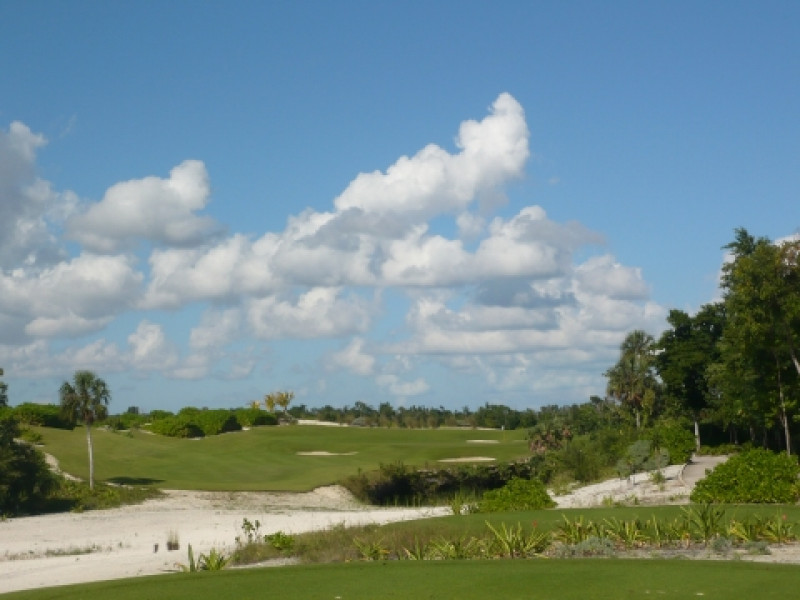 Moon Palace alternative