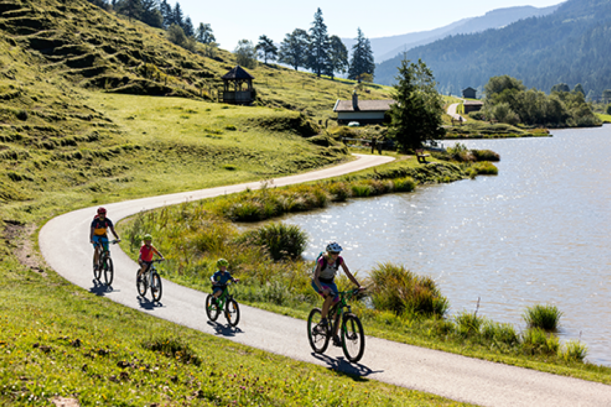 Family Bike c Klemens Konig