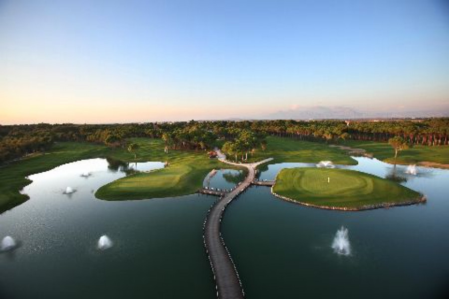 Pines Dunes
