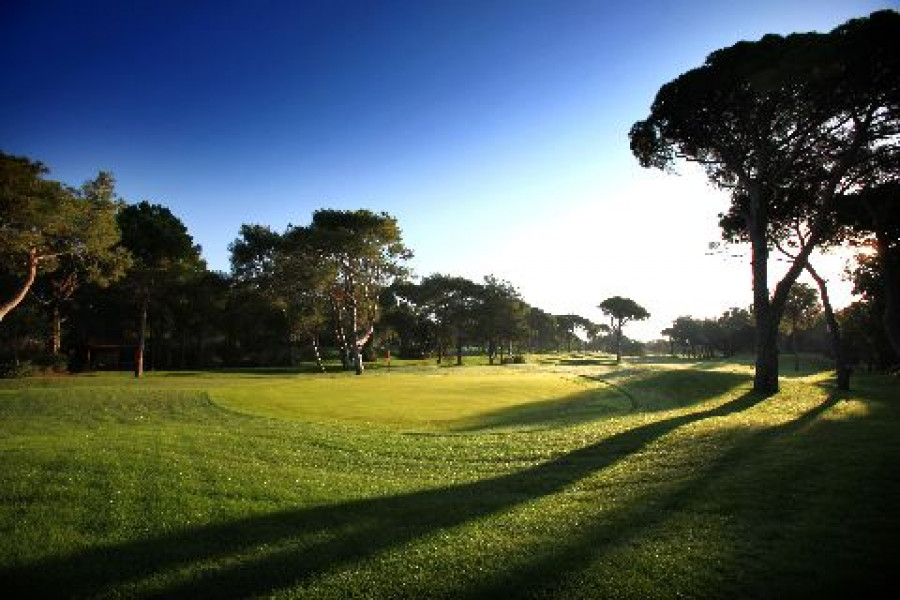 Sueno 15th dunes