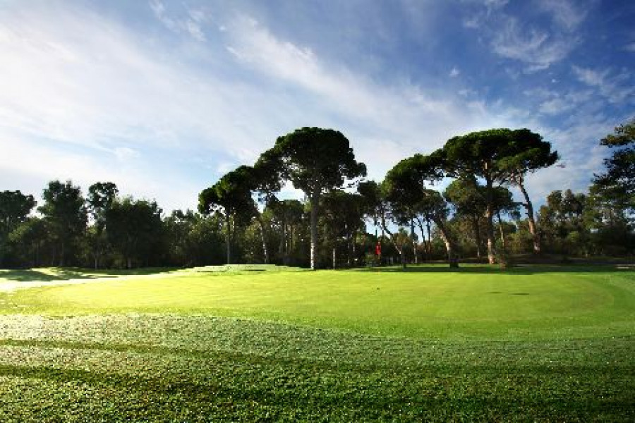 Sueno 12th pines