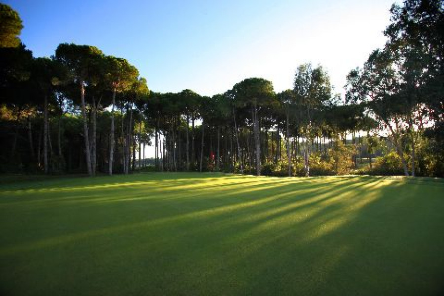 Sueno 13th pines