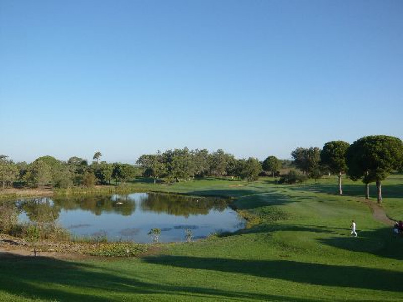 tat golf 1