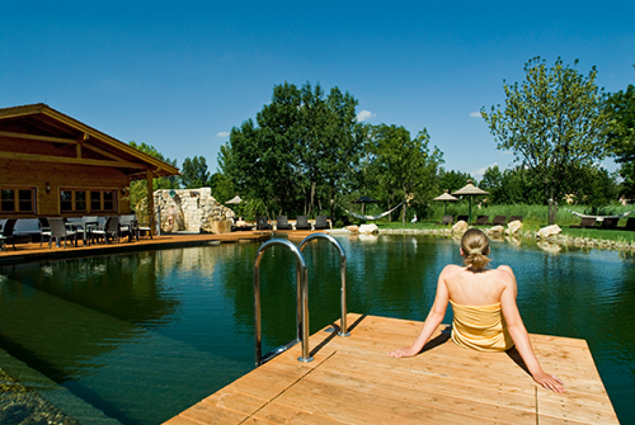 Naturteich mit Panoramasauna.jpg