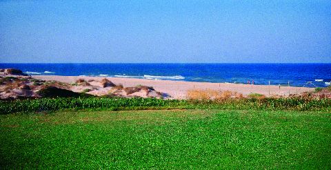 foto golf saler