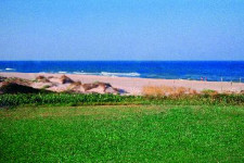 foto golf saler